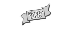 logos-clientes-gris-41